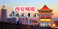 黄片操逼视频大全中国陕西-西安城墙旅游风景区